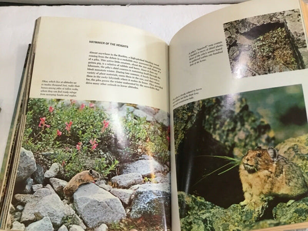 Lot of (3) "Our Living World of Nature", Hardcover Books from McGraw-Hill