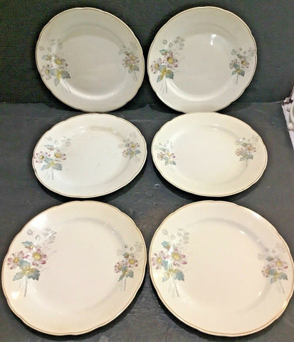 SET OF (8) ANTIQUE T&R BOOTE IRONSTONE DAISY PATTERN 8” SALAD PLATES (ENGLAND)